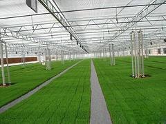 蔬菜花卉日光温室建造：哪里有提供超值的蔬菜高温大