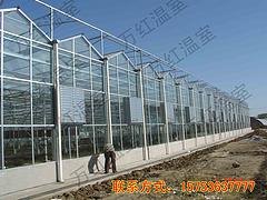 玻璃温室大棚建造 质量好的玻璃温室大棚推荐