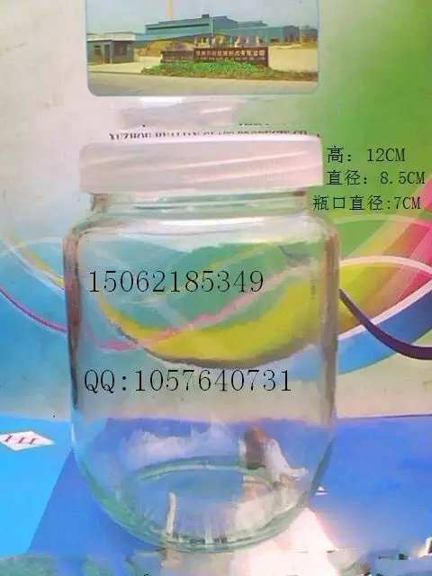 供应500毫升虫草瓶罐头瓶广口瓶玻璃瓶