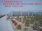 简易【薄膜温室大棚】找【千汇温室】没问题！