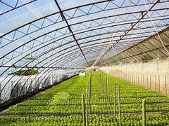 专业制造农用茂金属膜——来华峰塑料厂，买超值的农
