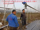 千汇（备受用户青睐）连栋温室大棚 / 连栋温室大