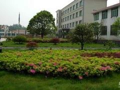 太行园林建设可靠的厂区绿化工程推荐：厂区绿化哪里