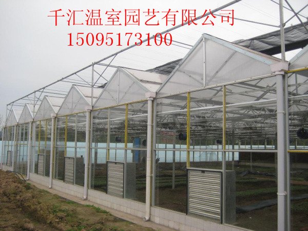 千汇《玻璃温室大棚》采用玻璃覆盖的优缺点