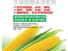 山东优质玉米抗倒粗缩净批发_山东玉米抗倒粗缩净