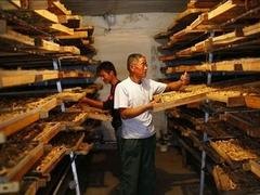 潍坊菊花烘干机价格——供应山东厂家直销的菊花烘干