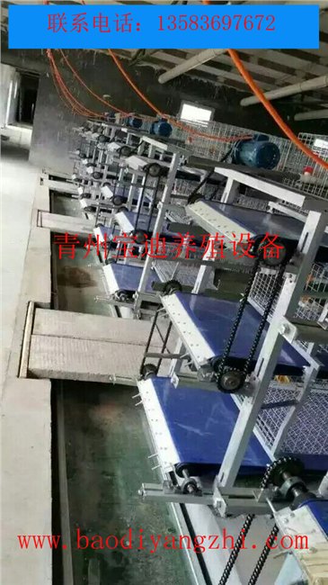 ||自动清粪机||输送带式清粪机||传送带清粪机