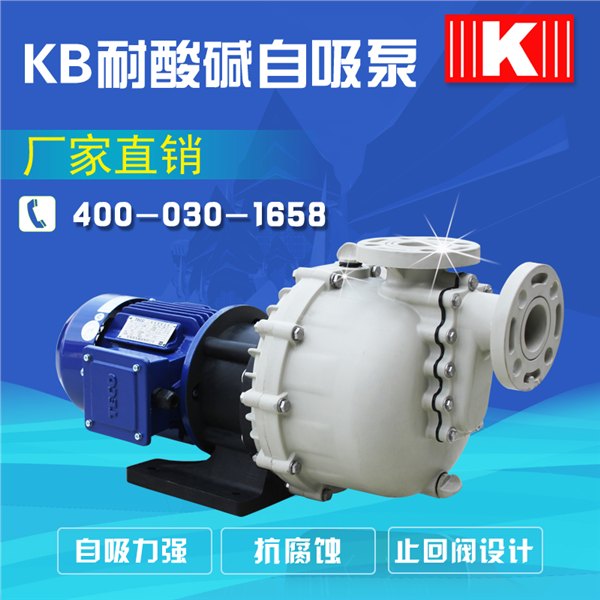 高扬程自吸泵/大流量自吸泵品牌-东莞囯宝，常规泵