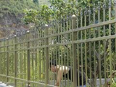 新材料彩色不锈钢栅栏，哪儿能买到质量硬的彩色不锈