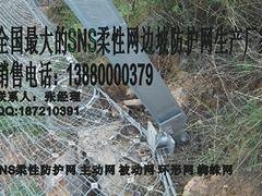 成都SNS柔性防护网——业内有信誉的GPS2主动