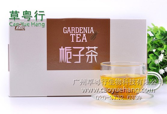 草粤行专业提供栀子袋泡茶贴牌加工服务