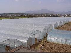 大棚膜批发：潍坊口碑好的大棚建设用薄膜哪家好