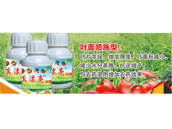 页面喷施型肥料|寿光页面喷施型肥料|页面喷施型肥