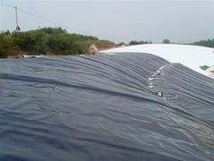 丽水糙面HDPE土工膜——哪里有大量供应HDPE