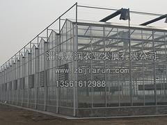 高质量的温室大棚建设就在嘉润农业，聊城温室大棚建