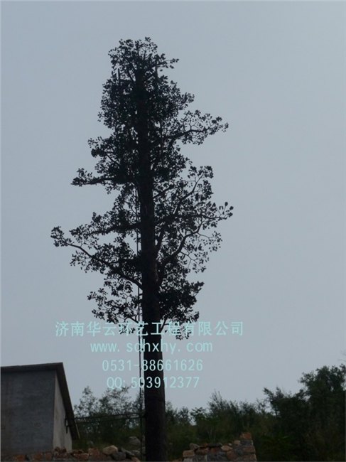 供应通讯塔【环云环艺工程有限公司】通讯塔价格