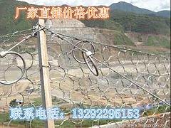 在哪能买到价格适中的被动环形防护网，供应山区被动