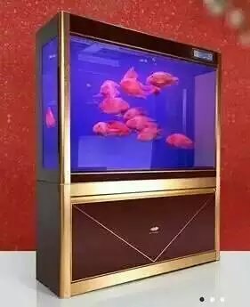 兰州三森水族箱批发，西宁水族箱批发，海东水族箱批