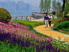 青岛公园绿化公司///公园绿化施工找哪家？？？太