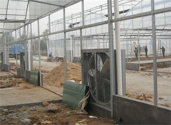 山东日光温室建设（山东日光温室造价 ）【建造专业