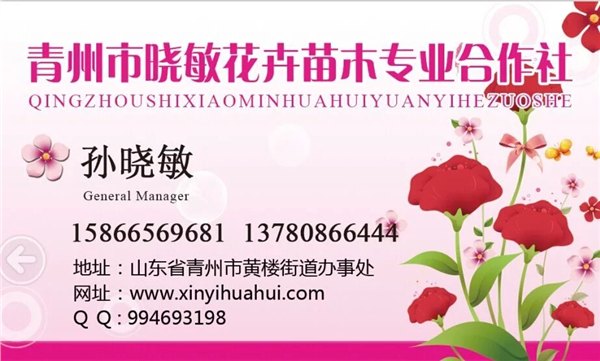 冰岛虞美人 哪有卖东营烟台淮安衡水宝鸡盐城攀枝花遵义价格