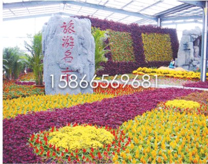 山东时令花卉价格
