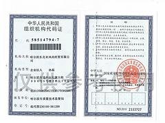 具有口碑的东北亚风尚经贸推荐|商机东北亚厂家