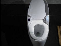 哪家皇琥卫浴多功能节水带遥控坐便器供应商好：批发