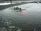 泰安地区优良的海水养殖膜