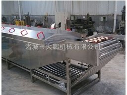 网带式巴氏杀菌流水线
