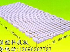潍坊质量较好的鸡用地板_厂家直销|平养专用地板高