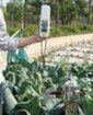 买土壤硬度仪便携式土壤紧实度计就来赛森机电_陕西