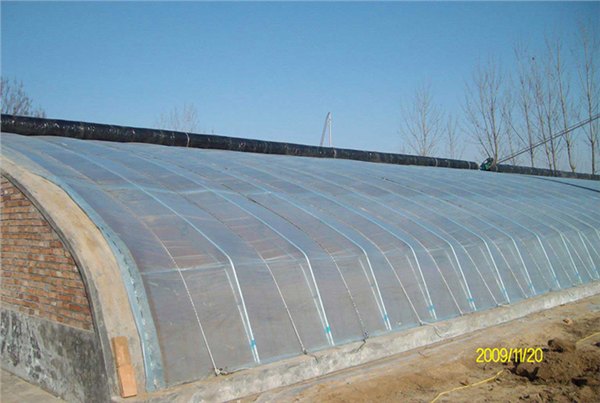 百度推荐】火龙果温室大棚##草莓温室大棚#石榴温