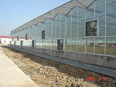 文络型温室大棚销售：称心的文络型温室大棚推荐
