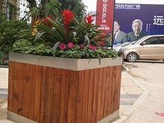 北海防腐木花架：南宁具有口碑的防腐木花箱供应