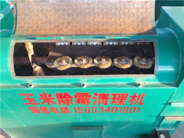 玉米脱霉清理机供应，青洋供应上等玉米脱霉清理机