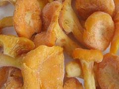菌多多-知名的鸡油菌供应商_大理鸡油菌价格