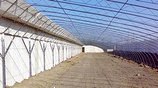 建造广西温室大棚就来广西融通四海