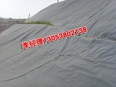 水产养殖土工膜报价——供应山东热卖水产养殖土工膜