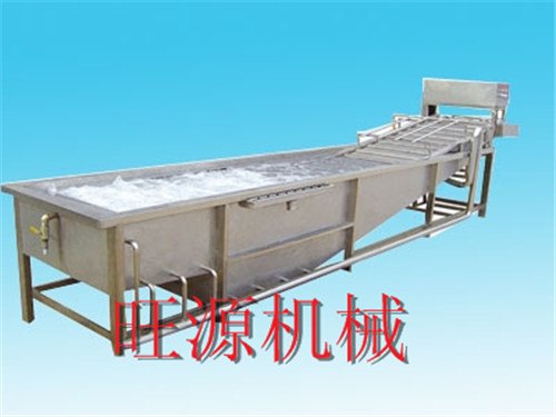 旺源小型蔬菜清洗机