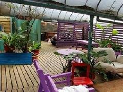 青岛专业的尾顶花园建设公司，当属太行园林建设：崂