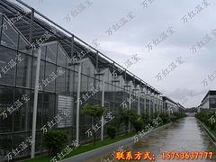 东营智能温室大棚_想建智能温室大棚就到万红温室园
