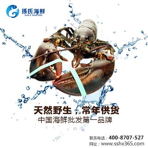 孙氏海鲜的海鲜礼包团购说明
