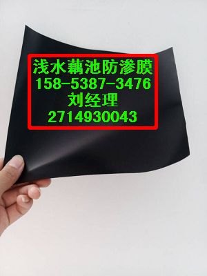 供应铜川】水产养殖防渗膜/鱼塘防渗塑料布