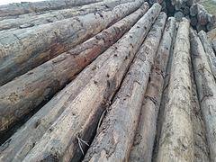 供应福建有品质的木方——广西木方方料