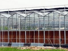 泰安连栋温室，专业的温室大棚建造推荐