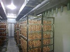 好用的烘干房在哪可以买到_河池食品烘干房