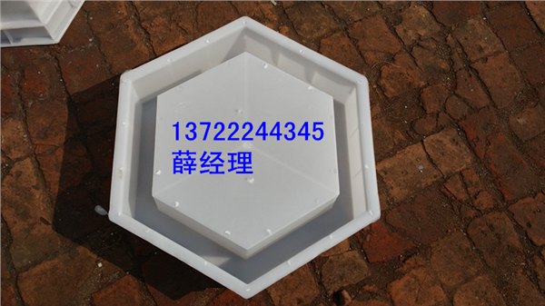 标准六角护坡塑料模具河道专用