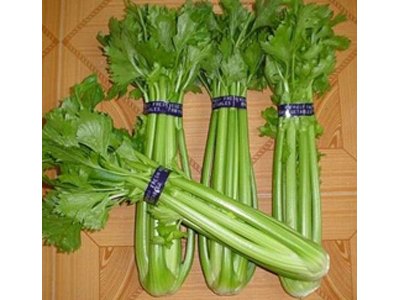 兰州蔬菜批发【推荐】兰州蔬菜批发价格 选甘肃荣晟