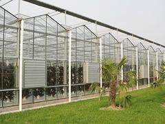 山东靠谱的智能温室大棚建设推荐|智能温室大棚建造